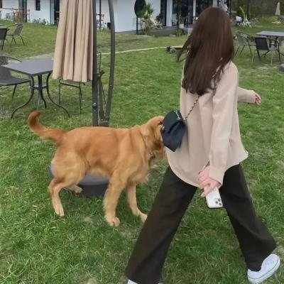 国学小名士第三季